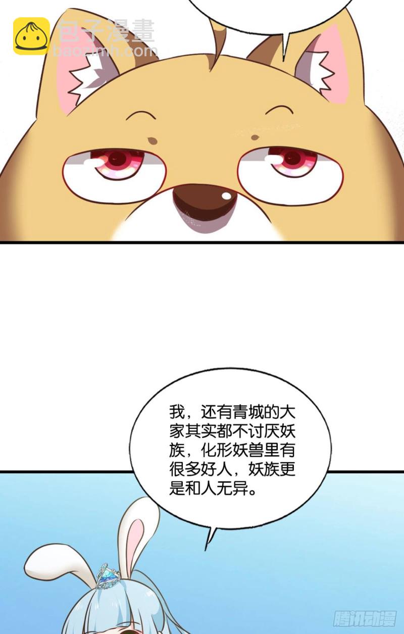 双赢方案31