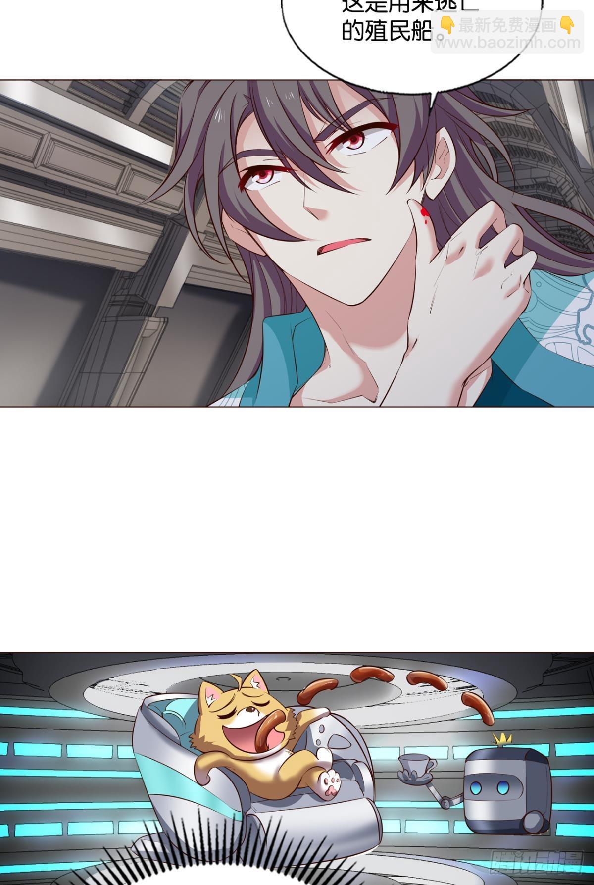 希望的遗产35