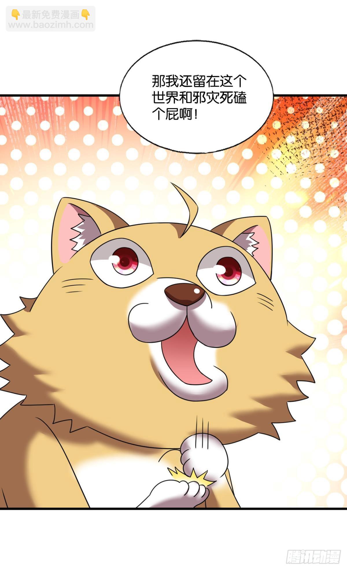 镜花水月15