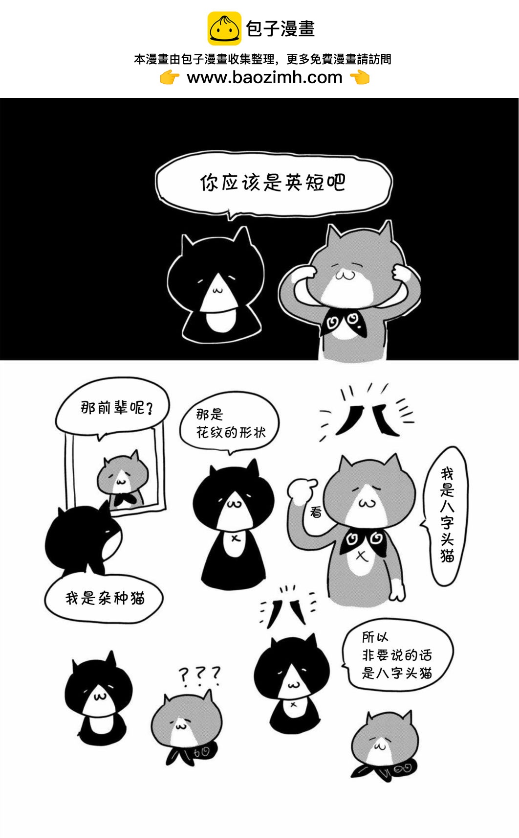 第4卷后记2