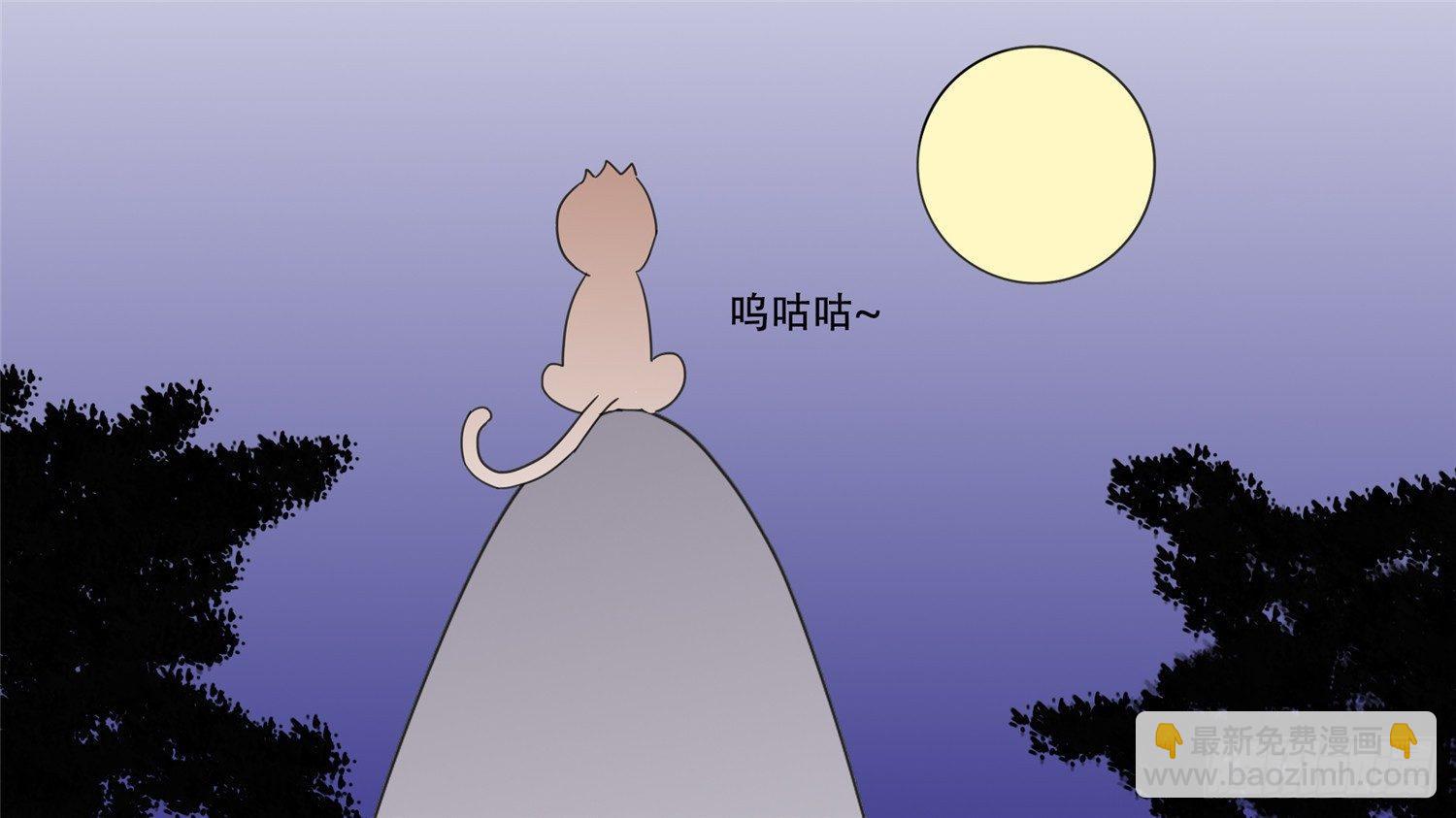 番外 元旦特别篇14