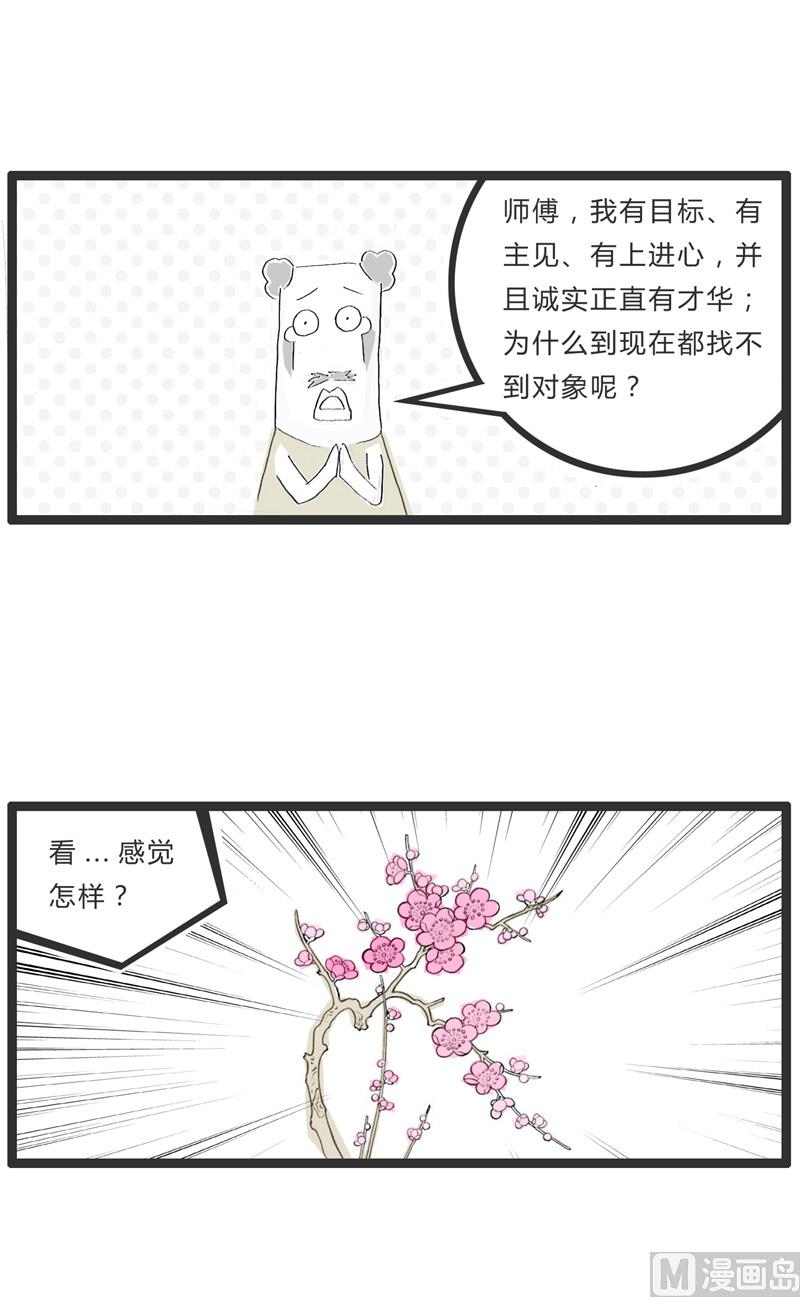 盛开的梅花1