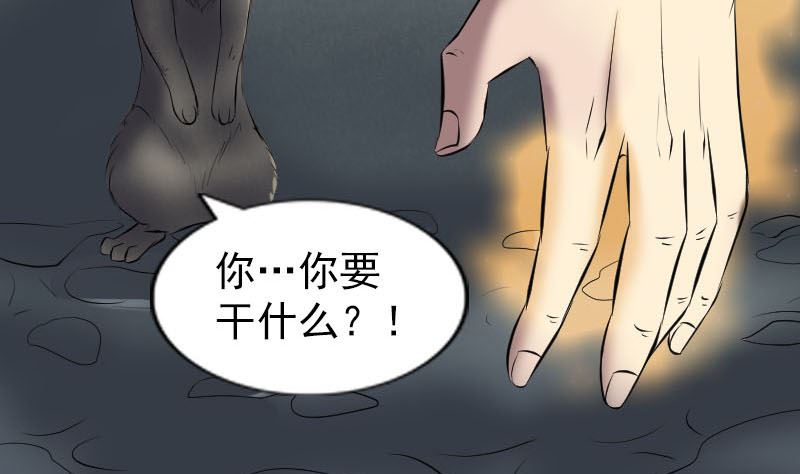 第274话 行珠56