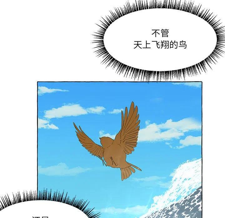 4463