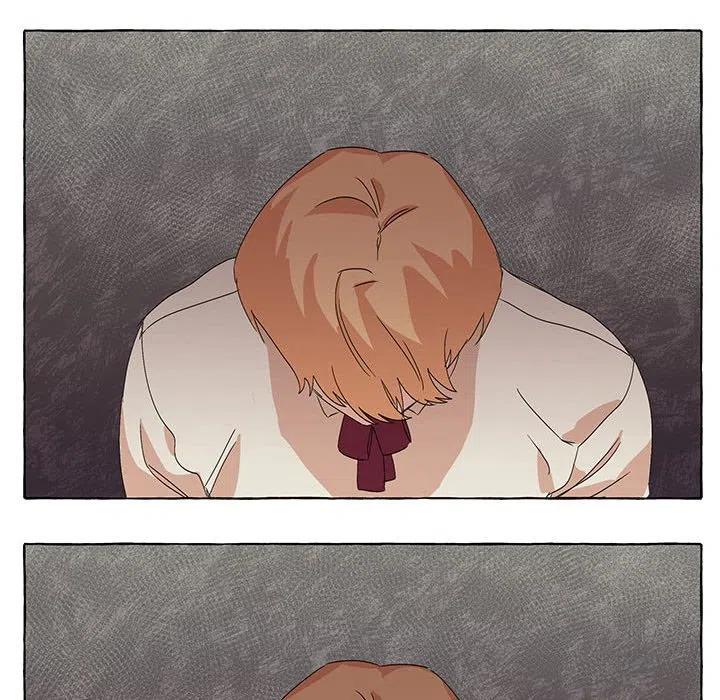 48117
