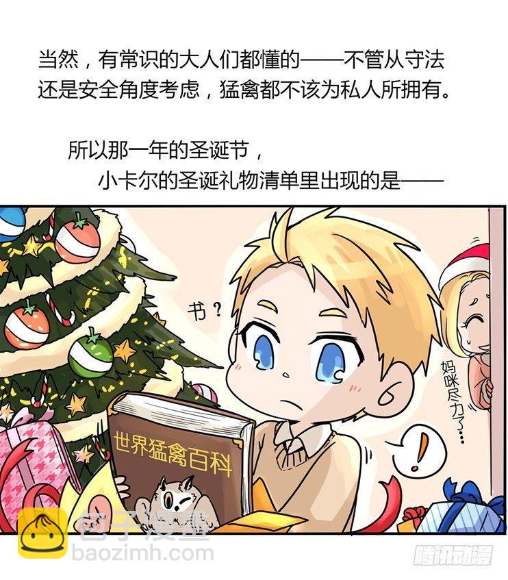 飞吧小少爷：梦想照进现实13