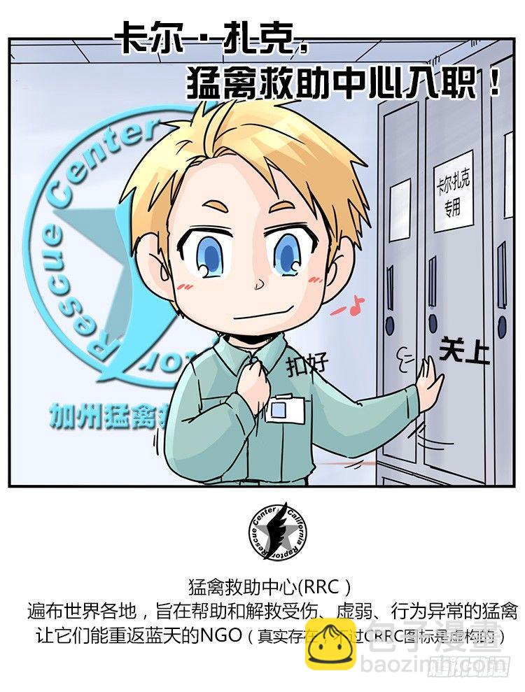 飞吧小少爷：梦想照进现实17