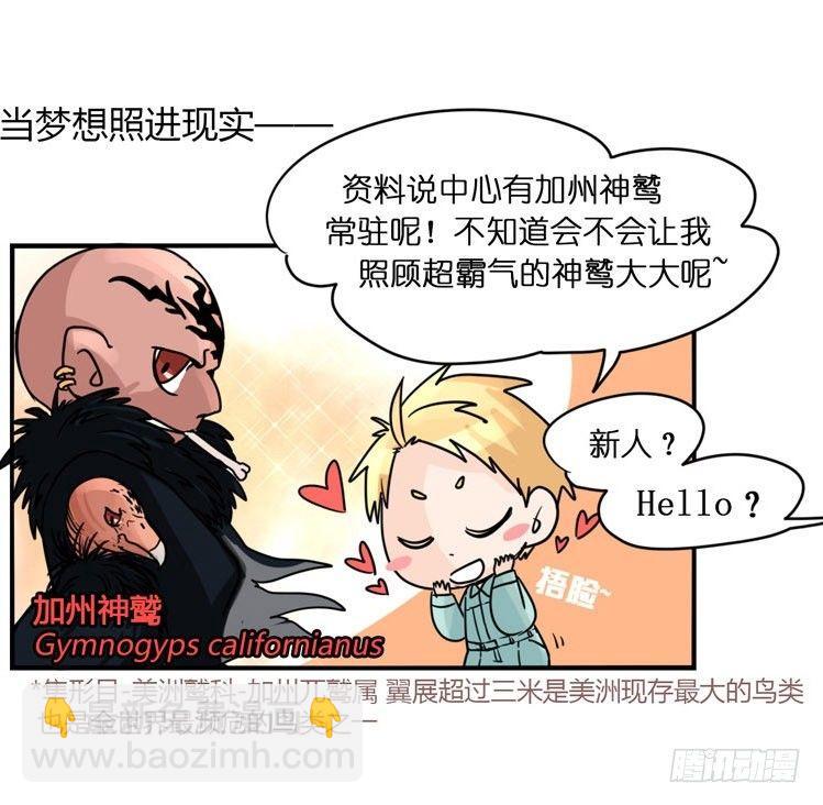 飞吧小少爷：梦想照进现实18