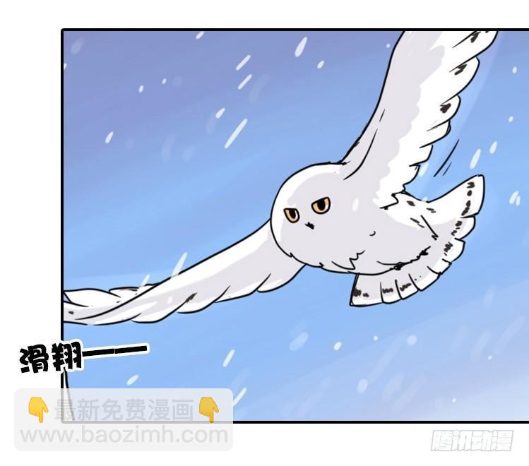 飞吧小少爷：梦想照进现实2
