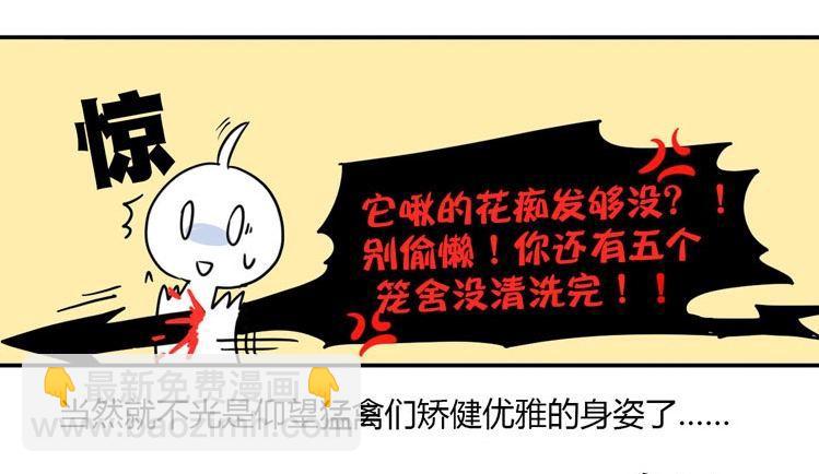 飞吧小少爷：梦想照进现实20