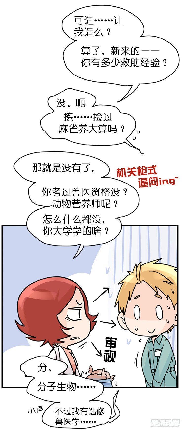 飞吧小少爷：梦想照进现实29