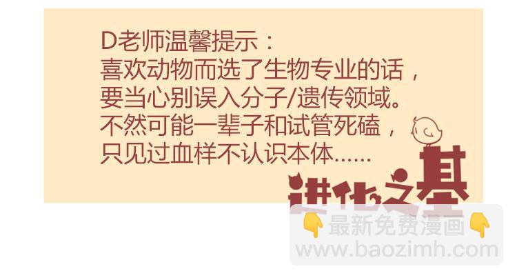 飞吧小少爷：梦想照进现实30