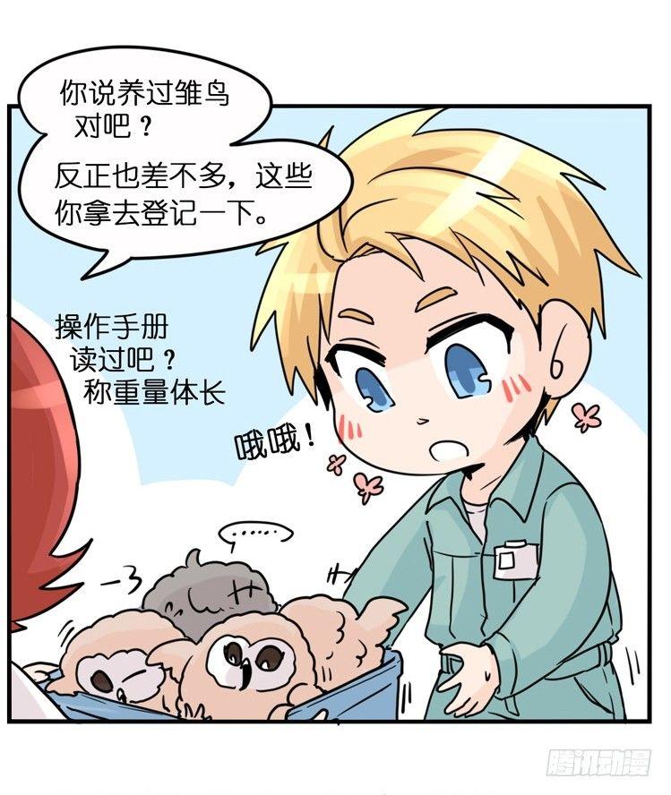 飞吧小少爷：梦想照进现实32