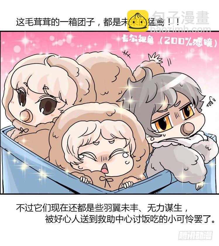 飞吧小少爷：梦想照进现实33