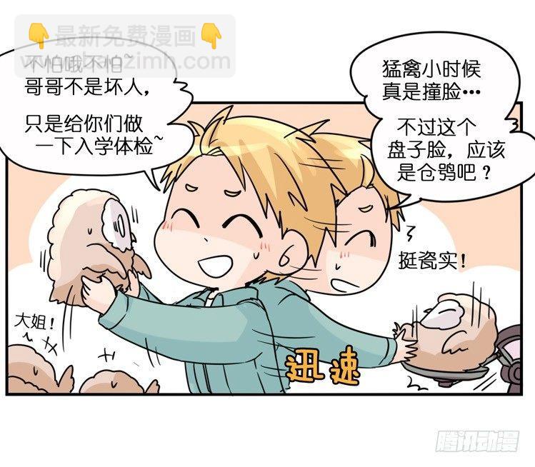飞吧小少爷：梦想照进现实34