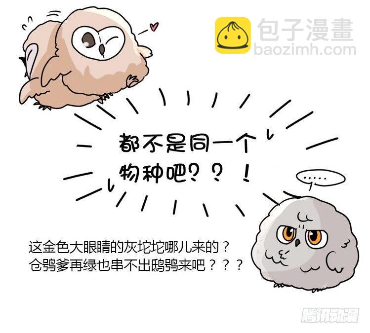 飞吧小少爷：梦想照进现实39