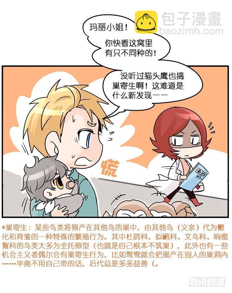 飞吧小少爷：梦想照进现实40