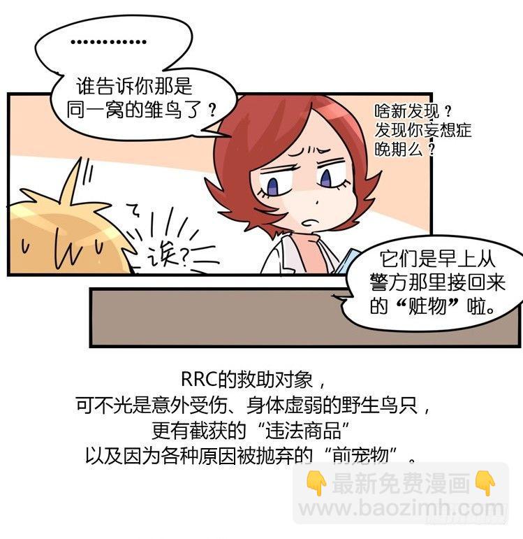 飞吧小少爷：梦想照进现实41
