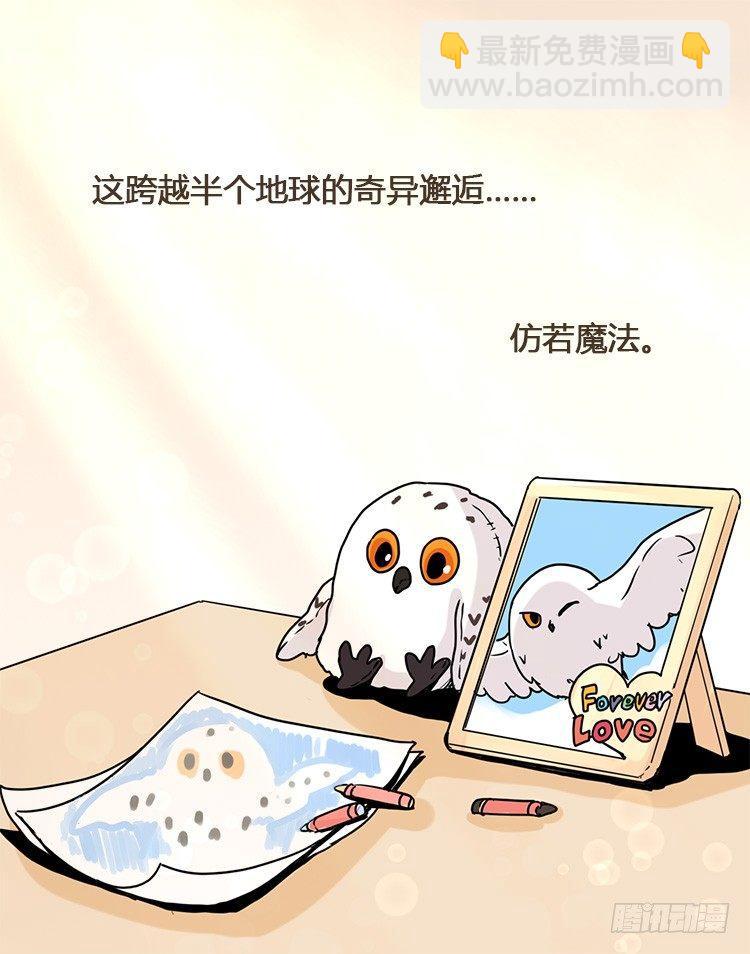 飞吧小少爷：梦想照进现实43