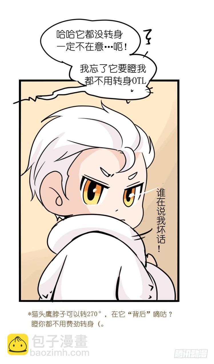 飞吧小少爷：这、这就是传说中的—10