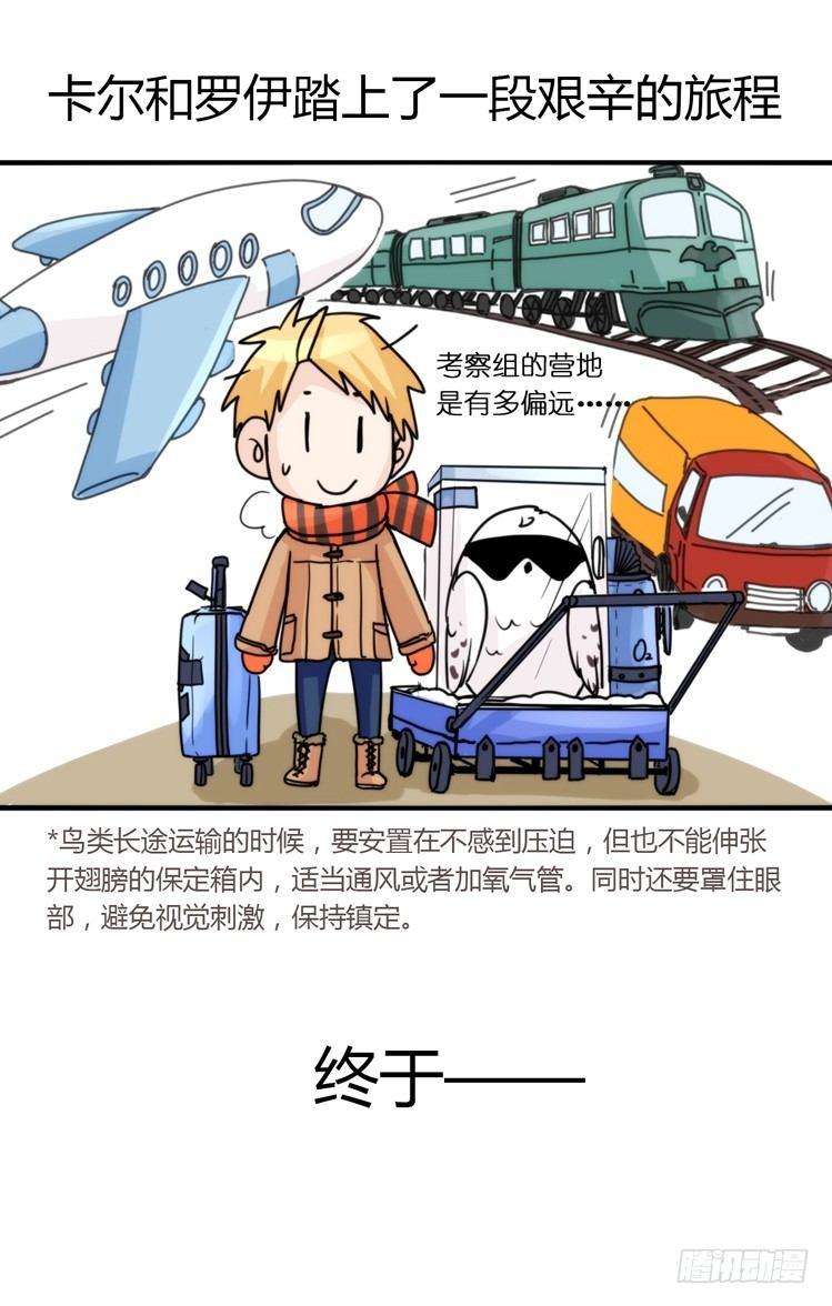 飞吧小少爷：这、这就是传说中的—2