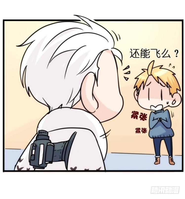 飞吧小少爷：赌上猛禽的尊严！1