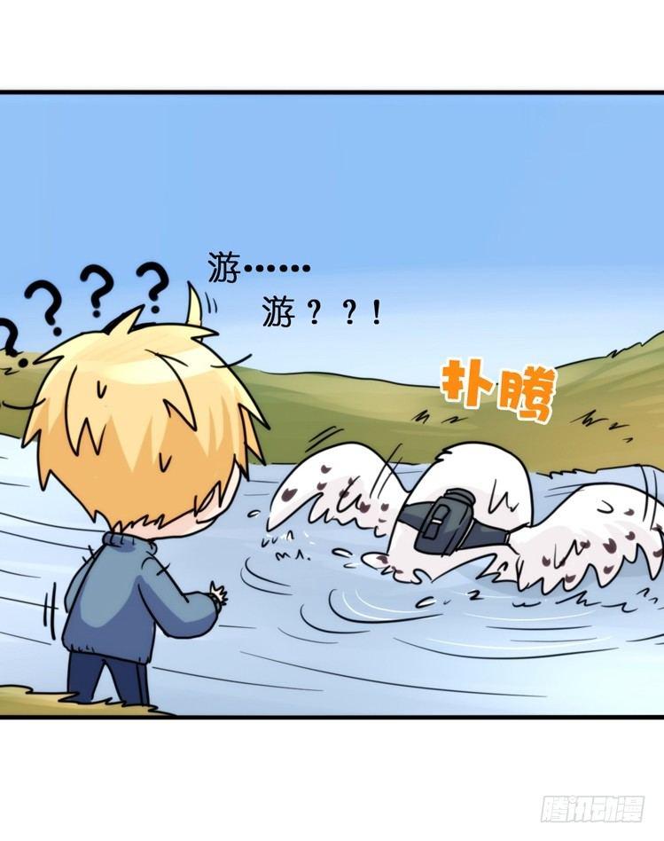 飞吧小少爷：赌上猛禽的尊严！13
