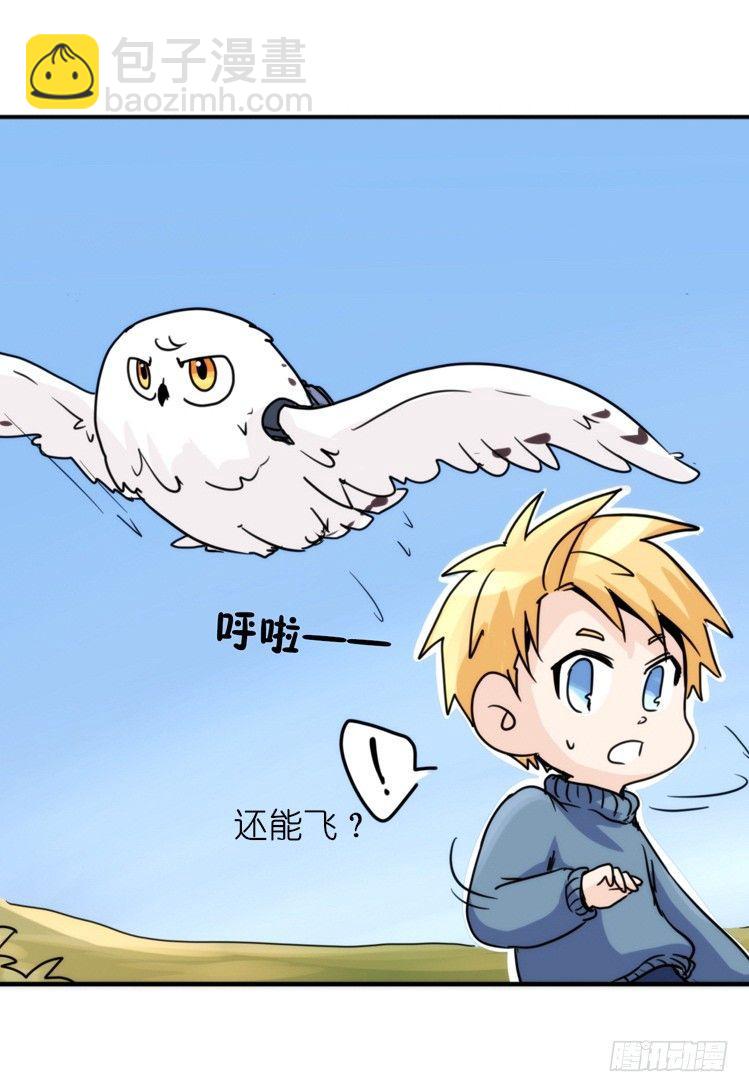 飞吧小少爷：赌上猛禽的尊严！17