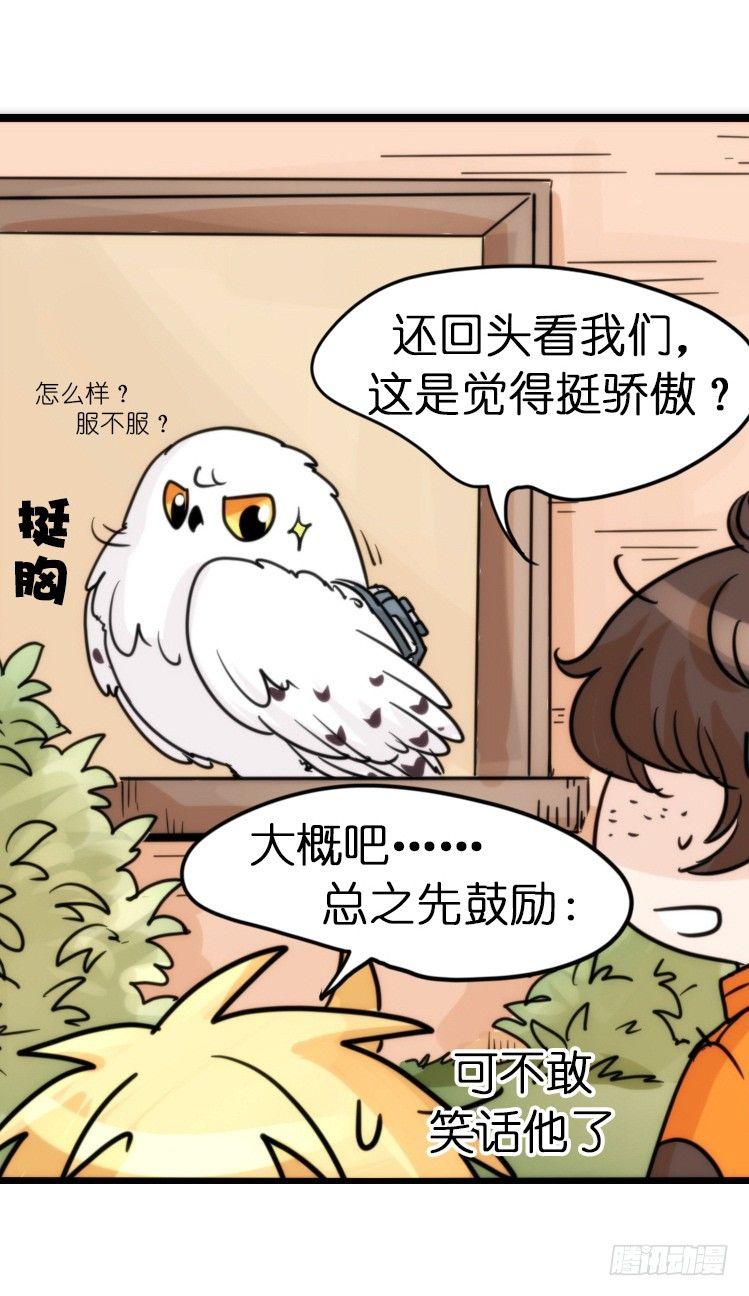 飞吧小少爷：赌上猛禽的尊严！19