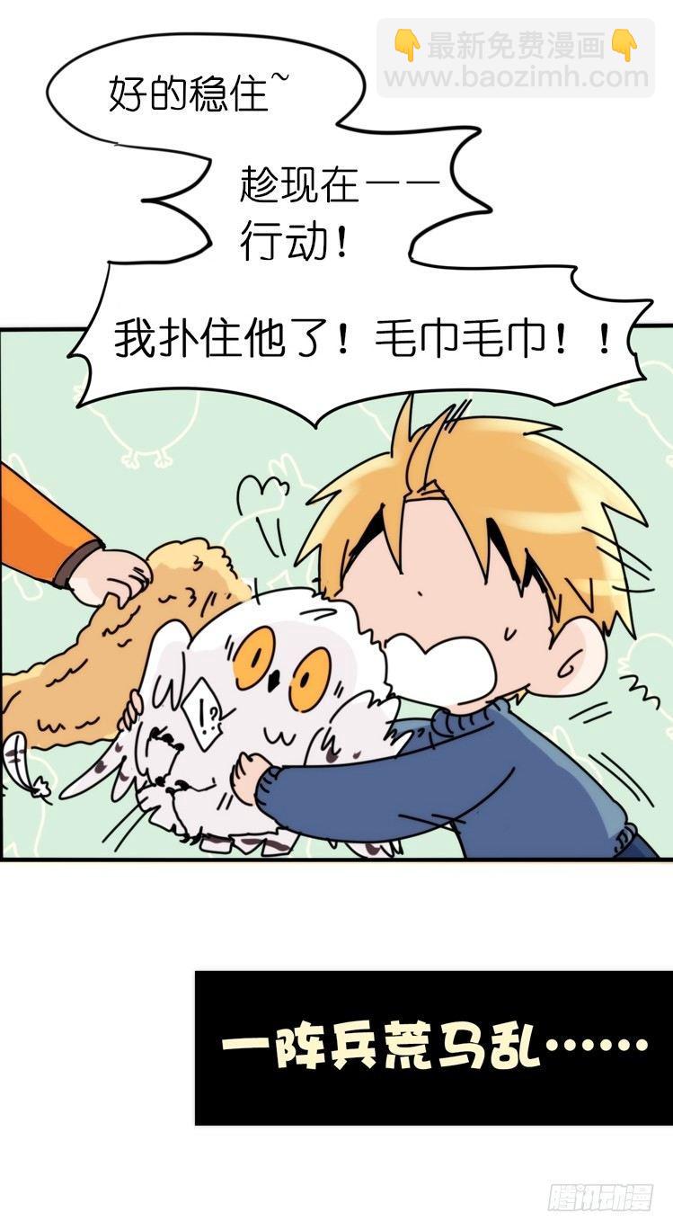 飞吧小少爷：赌上猛禽的尊严！21