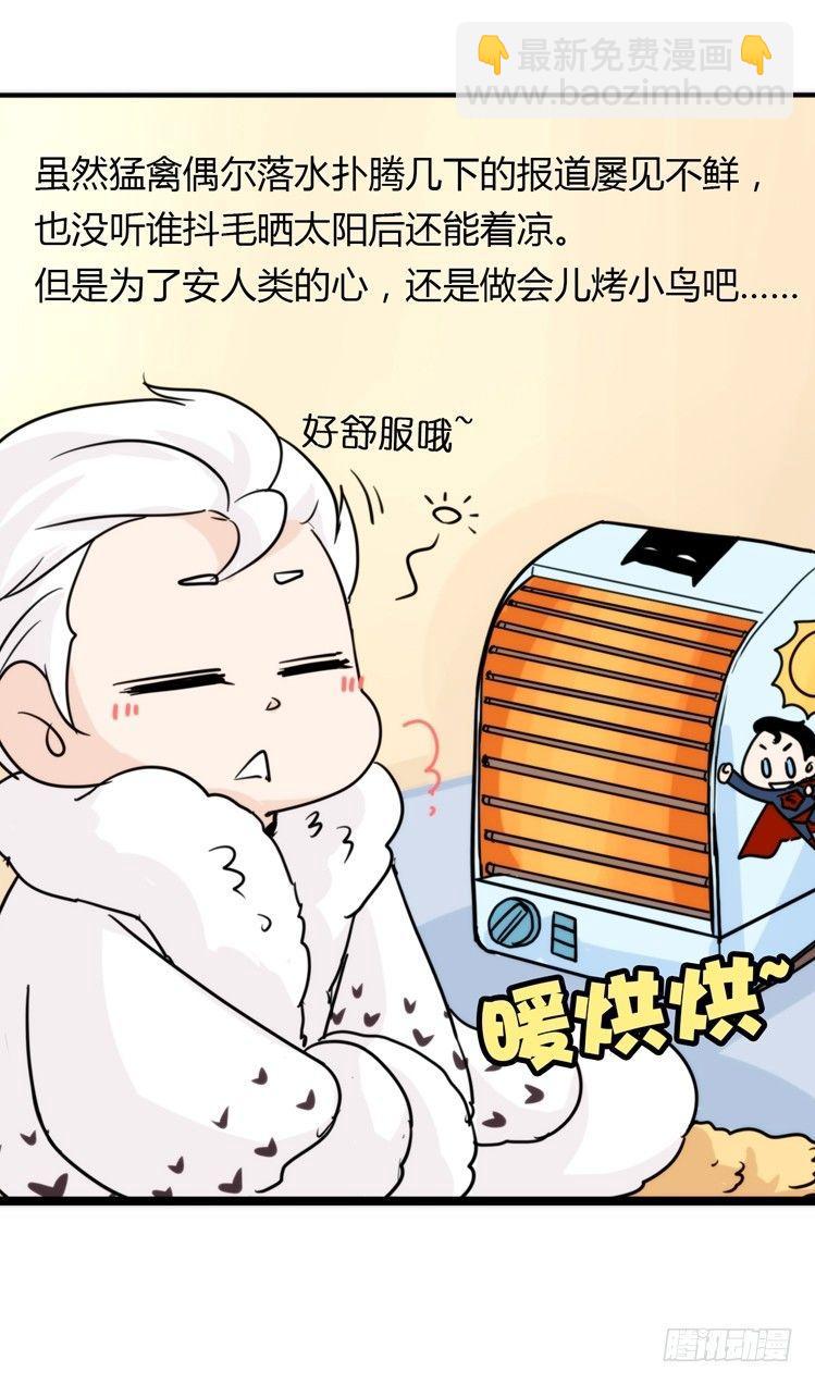 飞吧小少爷：赌上猛禽的尊严！22