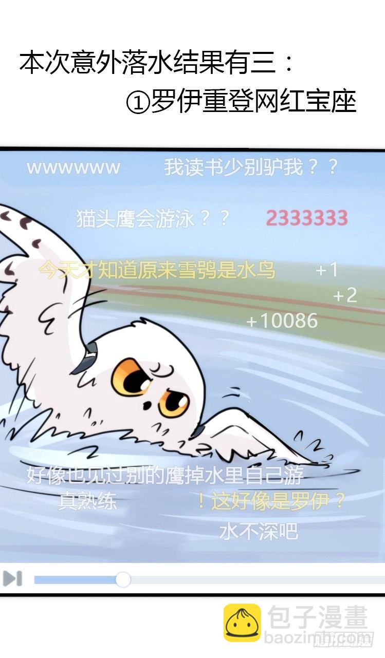 飞吧小少爷：赌上猛禽的尊严！23
