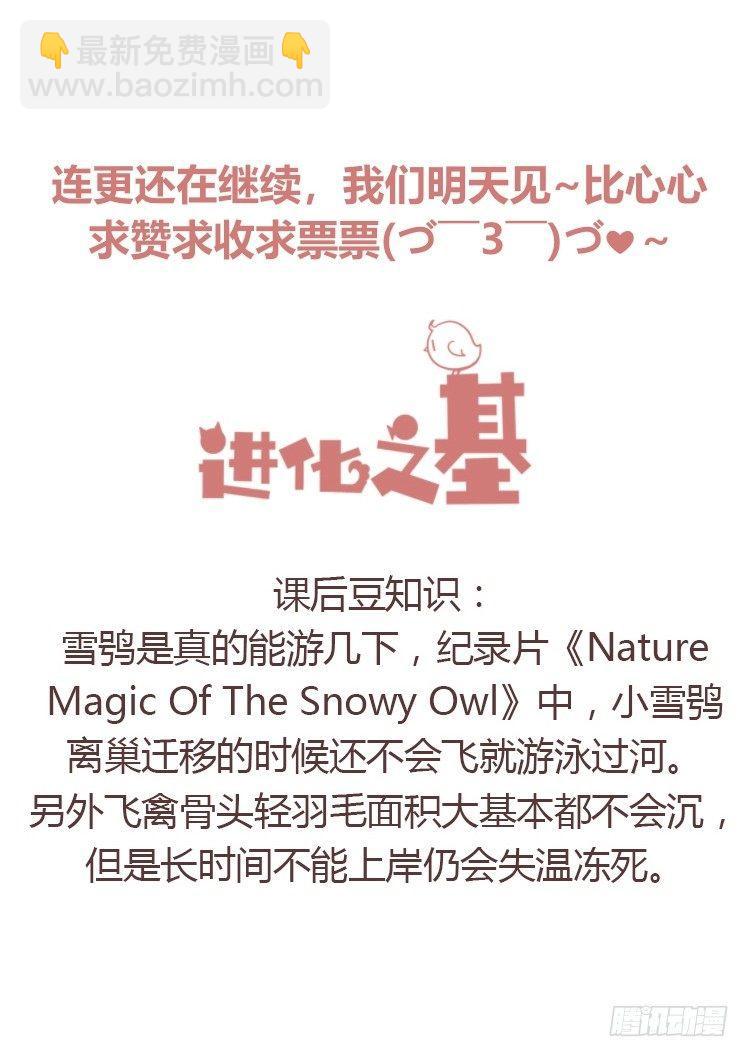 飞吧小少爷：赌上猛禽的尊严！26