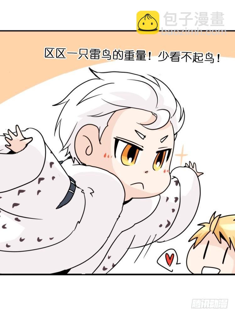 飞吧小少爷：赌上猛禽的尊严！3