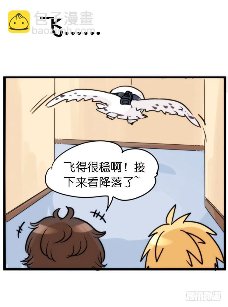飞吧小少爷：赌上猛禽的尊严！4