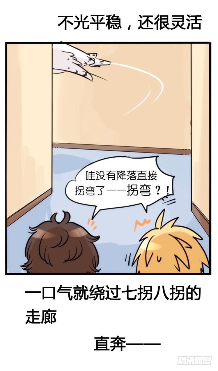 飞吧小少爷：赌上猛禽的尊严！5