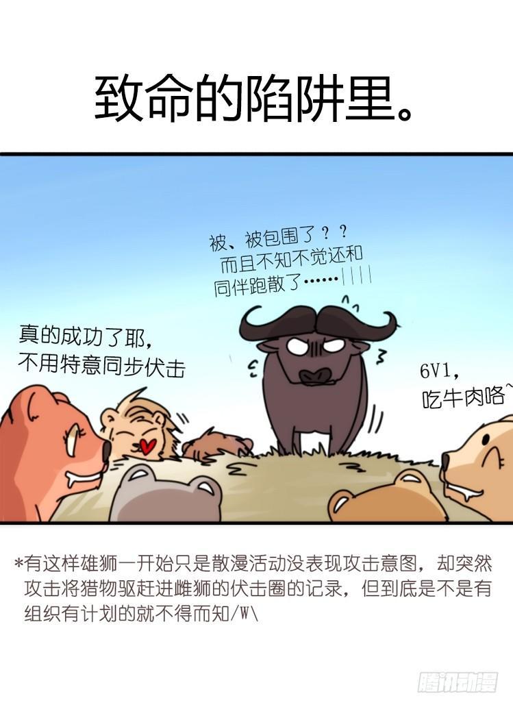 是这样的狮JI王？！-1326