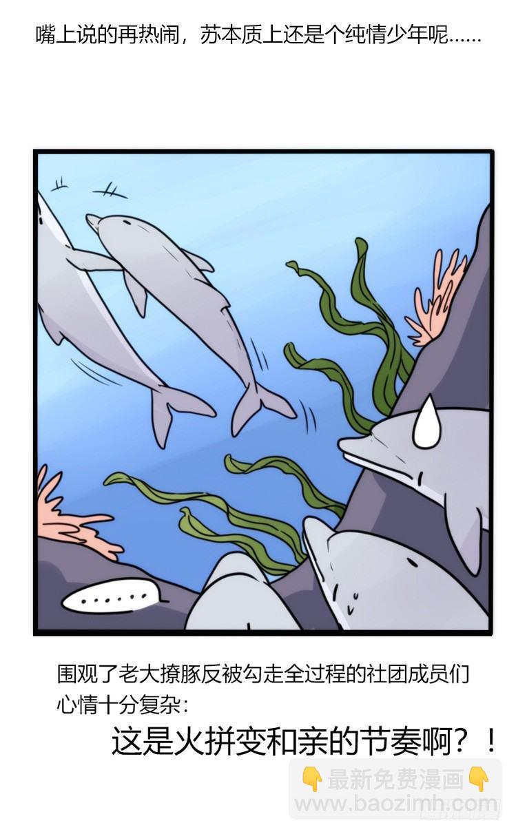 海洋精灵：重逢的正确姿♂势17