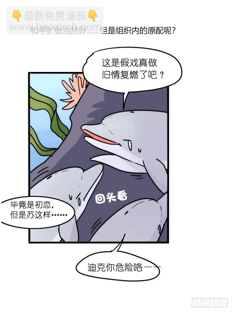 海洋精灵：重逢的正确姿♂势18
