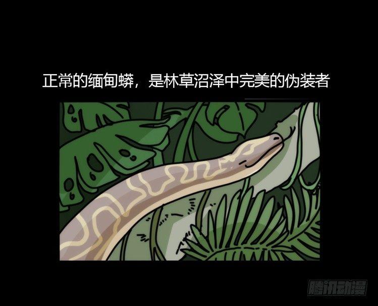 动协在行动07：自救联盟17