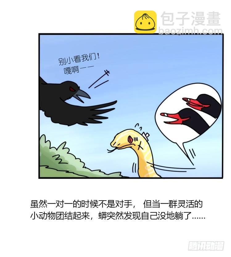 动协在行动07：自救联盟34