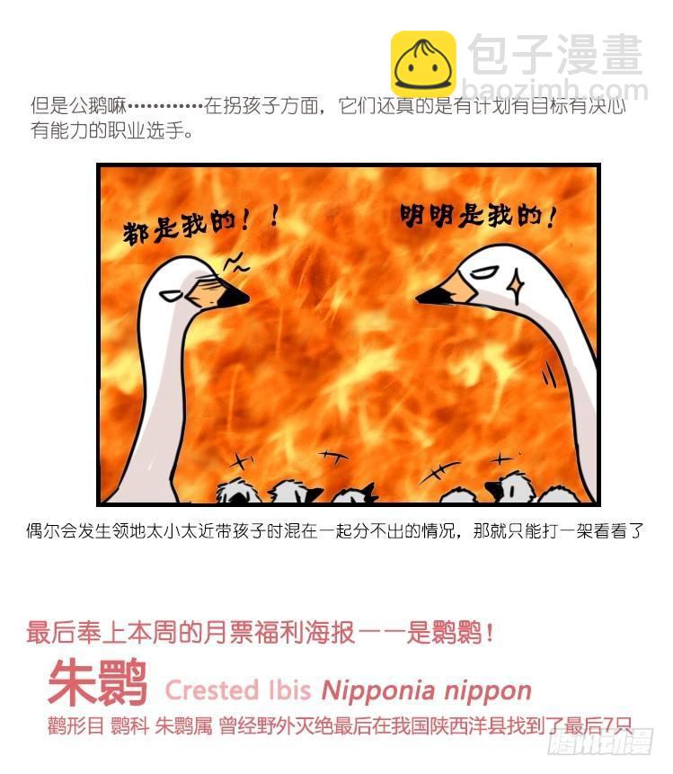 动协在行动21：毛绒绒战争40