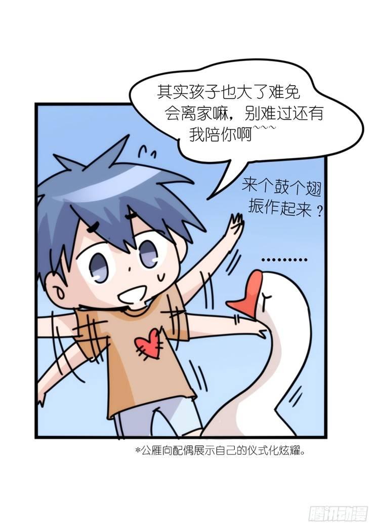 动协在行动24：失踪14