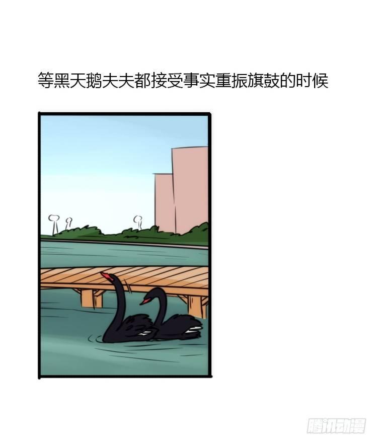 动协在行动24：失踪16