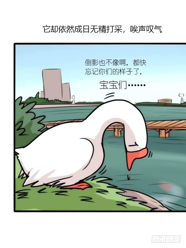 动协在行动24：失踪17