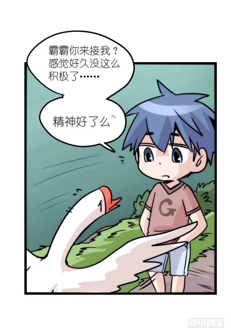 动协在行动24：失踪19