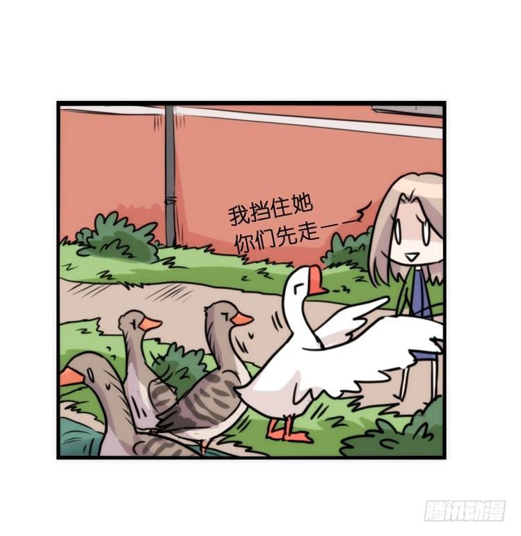 动协在行动24：失踪3