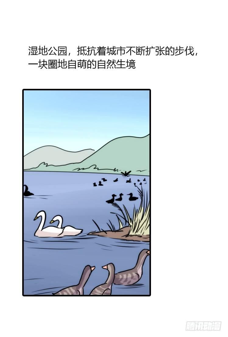 动协在行动24：失踪31