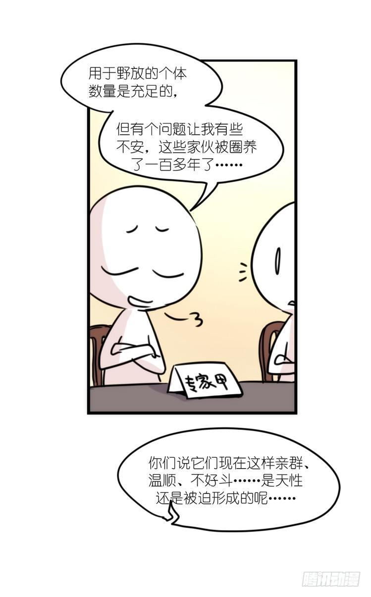 使命篇07：漫漫归乡路11