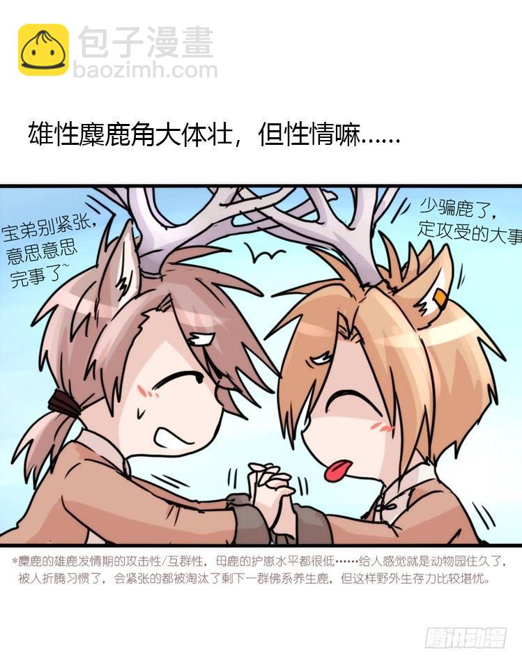 使命篇07：漫漫归乡路12